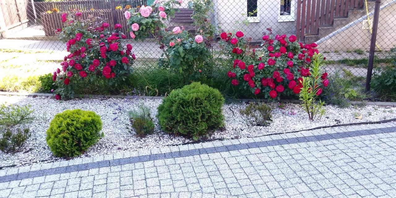 Nadmorski Apartmán